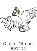 Cockatoo Clipart #65169 by Dennis Holmes Designs
