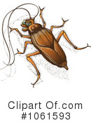 Cockroach Clipart #1061593 by Zooco