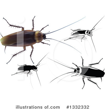 Royalty-Free (RF) Cockroach Clipart Illustration by dero - Stock Sample #1332332