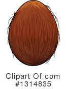 Coconut Clipart #1314835 by Vector Tradition SM