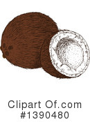 Coconut Clipart #1390480 by Vector Tradition SM