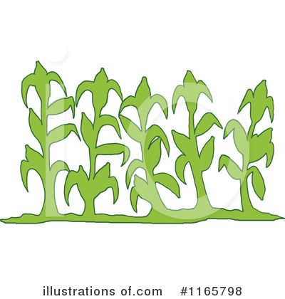 Corn Clipart #1165798 by LaffToon