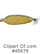 Corn Clipart #45679 by pauloribau