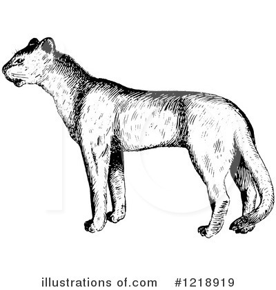 Royalty-Free (RF) Cougar Clipart Illustration by Picsburg - Stock Sample #1218919