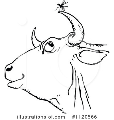 Royalty-Free (RF) Cow Clipart Illustration by Prawny Vintage - Stock Sample #1120566