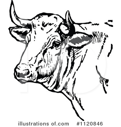 Royalty-Free (RF) Cow Clipart Illustration by Prawny Vintage - Stock Sample #1120846