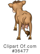 Cow Clipart #36477 by dero