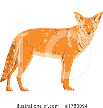 Royalty-Free (RF) Coyote Clipart Illustration by patrimonio - Stock Sample #1780094
