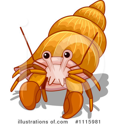 Hermit Crab Clipart #1115981 by BNP Design Studio
