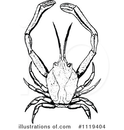 Royalty-Free (RF) Crab Clipart Illustration by Prawny Vintage - Stock Sample #1119404
