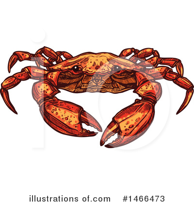 Crab Clipart #1466473 by Vector Tradition SM
