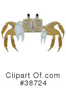 Crab Clipart #38724 by dero