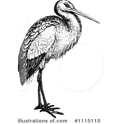 Stork Clipart #1115110 by Prawny Vintage