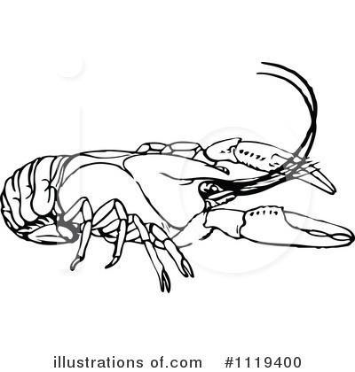 Royalty-Free (RF) Crayfish Clipart Illustration by Prawny Vintage - Stock Sample #1119400