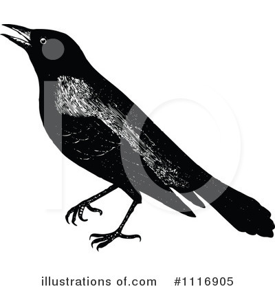 Royalty-Free (RF) Crow Clipart Illustration by Prawny Vintage - Stock Sample #1116905