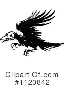 Crow Clipart #1120842 by Prawny Vintage