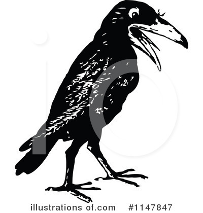 Royalty-Free (RF) Crow Clipart Illustration by Prawny Vintage - Stock Sample #1147847