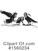 Crow Clipart #1560234 by xunantunich