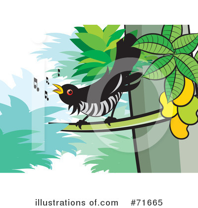 Royalty-Free (RF) Cuckoo Bird Clipart Illustration by Lal Perera - Stock Sample #71665