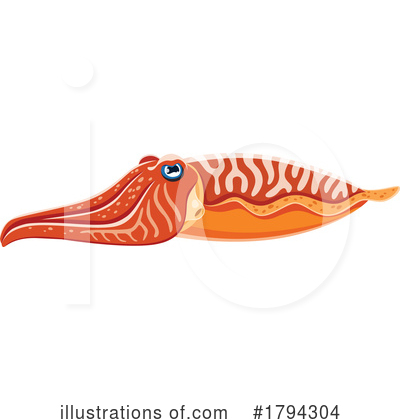 Cuttlefish Clipart #1794304 by Vector Tradition SM