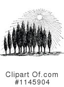 Cypress Clipart #1145904 by Prawny Vintage