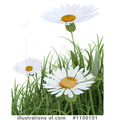 Royalty-Free (RF) Daisies Clipart Illustration by KJ Pargeter - Stock Sample #1100101