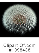 Dandelion Clipart #1098436 by Leo Blanchette