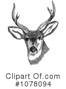 Deer Clipart #1078094 by JVPD