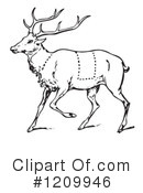 Deer Clipart #1209946 by Picsburg