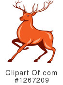 Deer Clipart #1267209 by patrimonio