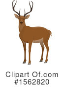 Deer Clipart #1562820 by Vector Tradition SM