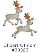 Deer Clipart #30923 by Alex Bannykh