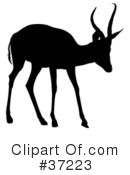 Deer Clipart #37223 by dero