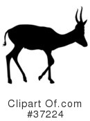 Deer Clipart #37224 by dero