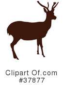 Deer Clipart #37877 by OnFocusMedia
