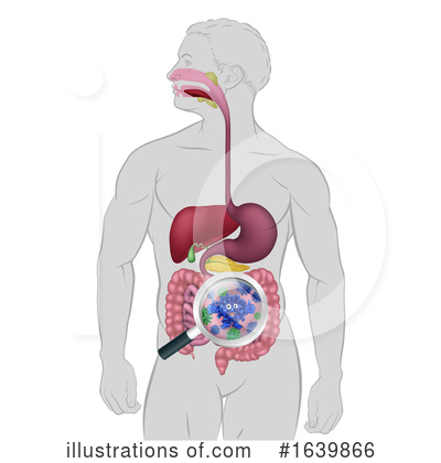 Digestive Clipart #1639866 by AtStockIllustration