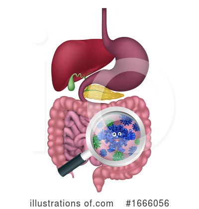 Royalty-Free (RF) Digestion Clipart Illustration by AtStockIllustration - Stock Sample #1666056