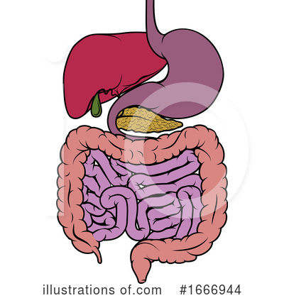 Royalty-Free (RF) Digestion Clipart Illustration by AtStockIllustration - Stock Sample #1666944