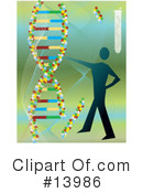 Dna Clipart #13986 by Rasmussen Images