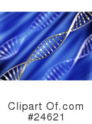 Dna Clipart #24621 by KJ Pargeter