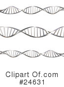 Dna Clipart #24631 by KJ Pargeter