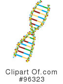 Dna Clipart #96323 by Rasmussen Images