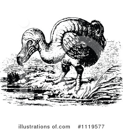 Dodo Bird Clipart #1119577 by Prawny Vintage