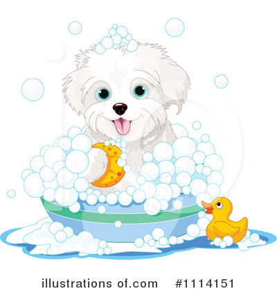 Dog Grooming Clipart #1114151 by Pushkin
