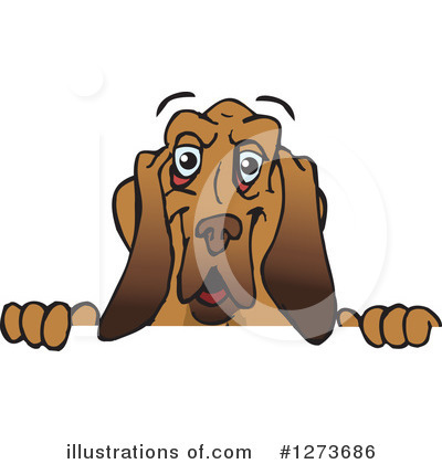 Bloodhound Clipart #1273686 by Dennis Holmes Designs