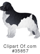 Dog Clipart #35857 by Prawny
