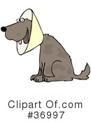 Dog Clipart #36997 by djart
