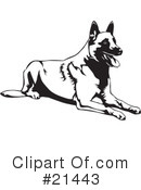 Dogs Clipart #21443 by David Rey