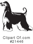 Dogs Clipart #21446 by David Rey