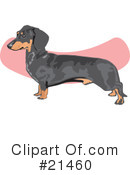 Dogs Clipart #21460 by David Rey